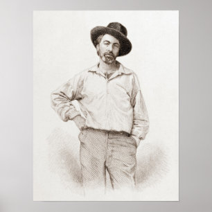 Walt Whitman Engraving Poster