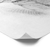 Walt Whitman, frontispiece tot 'Blaves of Poster (Hoek)