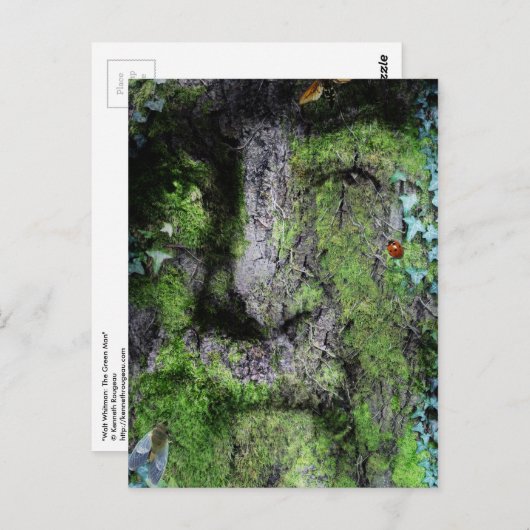 "Walt Whitman: Het Groene Man" Briefkaart (Voorkant / Achterkant)