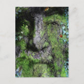 "Walt Whitman: Het Groene Man" Briefkaart (Voorkant)