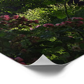 Walt Whitman - Poem Poster (Hoek)