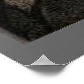 Walt Whitman - Portrait Poster (Hoek)