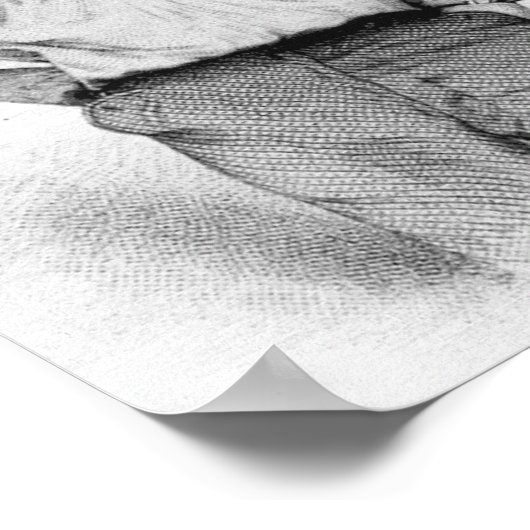 Walt Whitman Poster (Hoek)