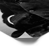 Walt Whitman Poster (Hoek)