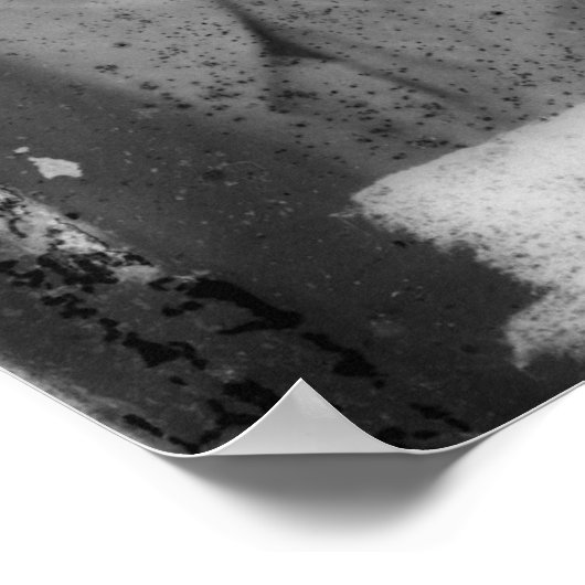 Walt Whitman Poster (Hoek)