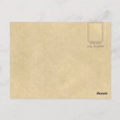 Walt Whitman Seated Portret Foto 47 jaar Briefkaart (Achterkant)