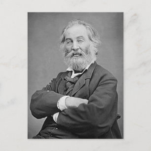 Walt Whitman Seated Portret Foto 47 jaar Briefkaart