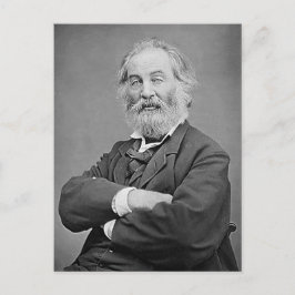 Walt Whitman Seated Portret Foto 47 jaar Briefkaart