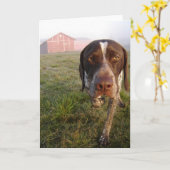 Walter Barn Notecard Kaart (Gele Bloem)