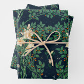 Walter Crane Francesca Inpakpapier Vel (In situ)