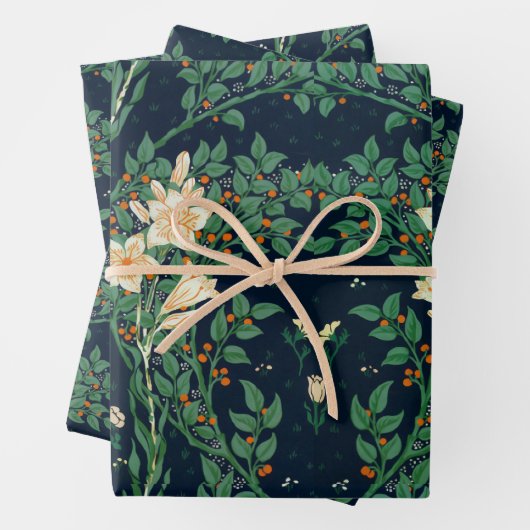 Walter Crane Francesca Inpakpapier Vel (In situ)