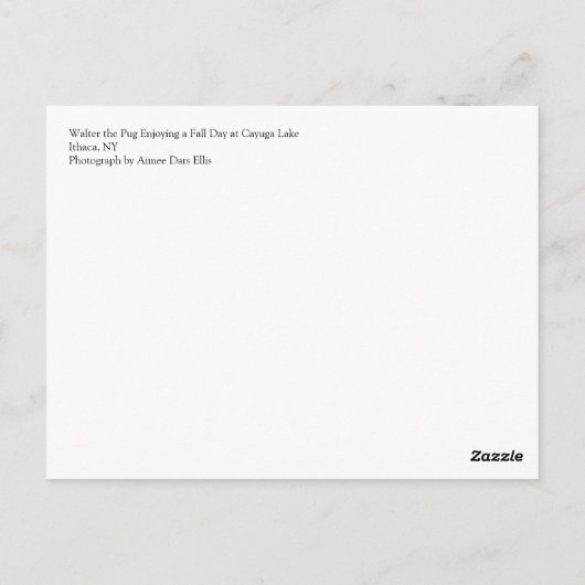 Walter the Pug Briefkaart (Achterkant)