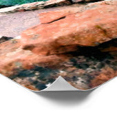 Walters Wiggles Zion National Park Utah Poster (Hoek)