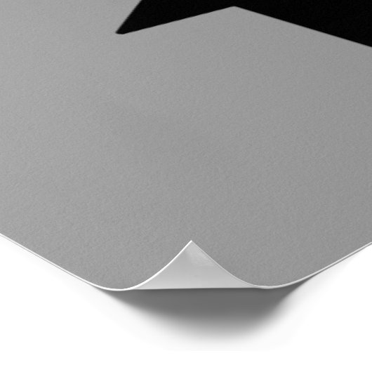 Walther PP Poster (Hoek)