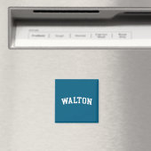 Walton magneet (Insitu (Vaatwasser))