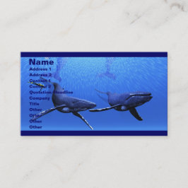 walvis 01 Visitekaartje