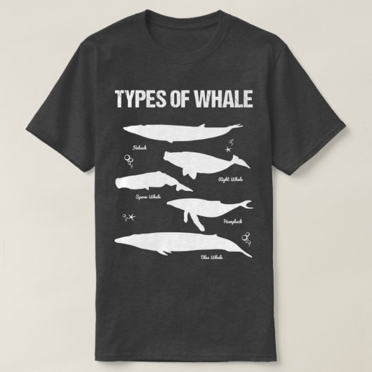 walvis 2 4 t-shirt (Design voorkant)