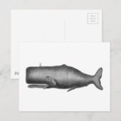  walvis briefkaart (Voorkant / Achterkant)