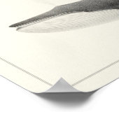  walvis — Californië grijze walvis en finback walv Poster (Hoek)