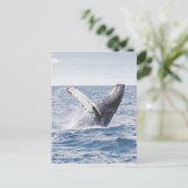 Walvis die het water bereikt briefkaart (Staand voorkant)
