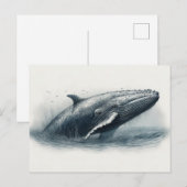 Walvis die uit de oceaan springt illustratie briefkaart (Voorkant / Achterkant)