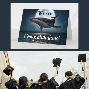 walvis felicitaties afstuderen kaart