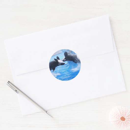 Walvis foto Sticker (Envelop)