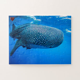 Walvis Haai Legpuzzel