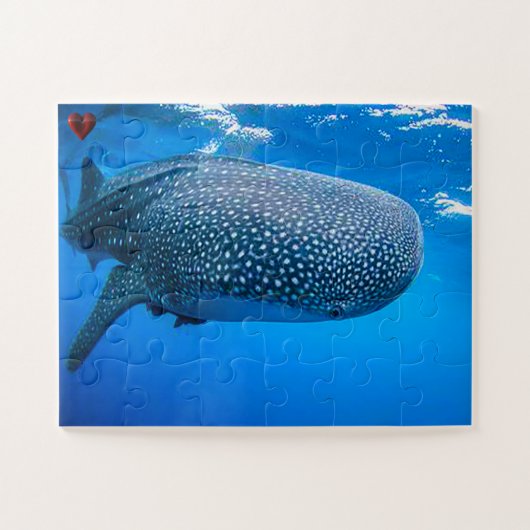 Walvis Haai Legpuzzel (Horizontaal)