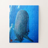 Walvis Haai Legpuzzel (Verticaal)