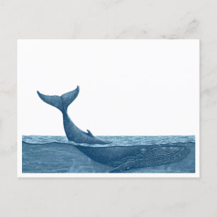 walvis in de oceaan briefkaart