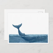 walvis in de oceaan briefkaart (Voorkant / Achterkant)