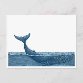 walvis in de oceaan briefkaart