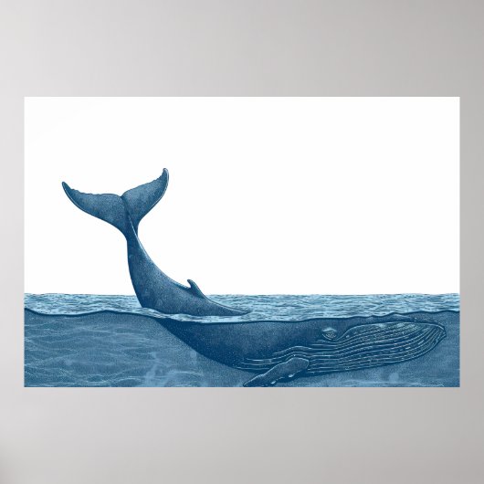 walvis in de oceaan poster (Voorkant)