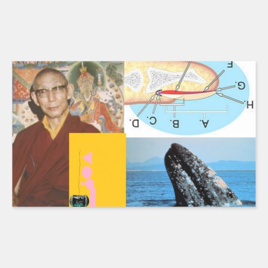 Walvis in de spijker rechthoekige sticker (Voorkant)