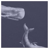 walvis in het diepblauw stof (Close Up)