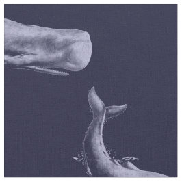 walvis in het diepblauw stof