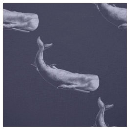 walvis in het diepblauw stof