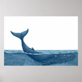 Walvis in kleine oceaan poster