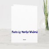 Walvis klaar! Gefeliciteerd kaart (Achterkant)