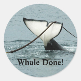 Walvis klaar! Sticker
