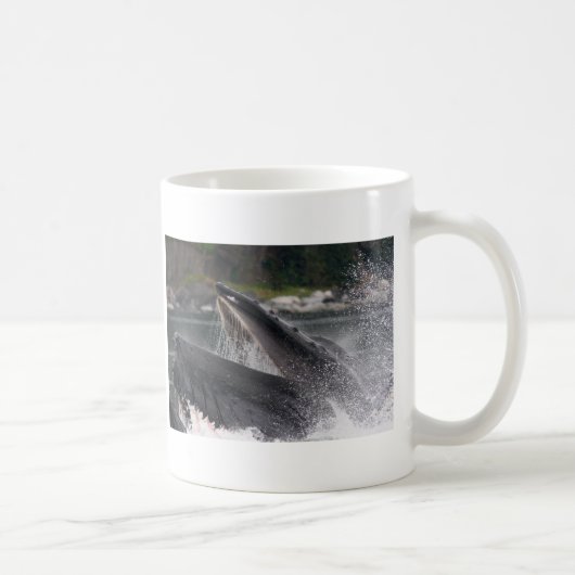 walvis koffiemok (Rechts)