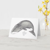 walvis liederen kaart (Gele Bloem)