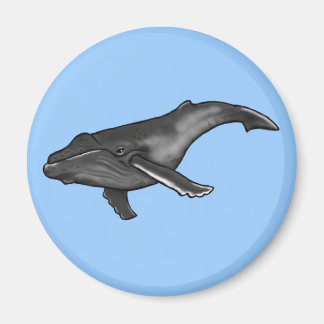 walvis magneet