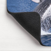 walvis muismat (Hoek)