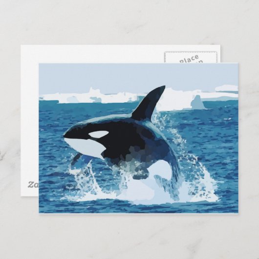 walvis Orca Water Animal Zee Ocean Fish Peace Love Briefkaart (Voorkant / Achterkant)
