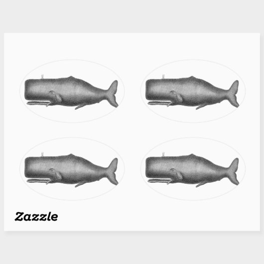  walvis ovale sticker (Vel)