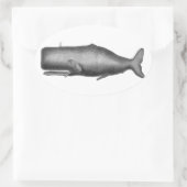walvis ovale sticker (Tas)