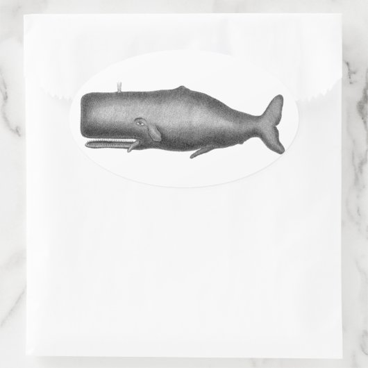 walvis ovale sticker (Tas)