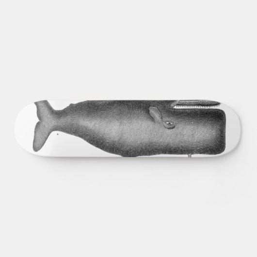 walvis persoonlijk skateboard (Horizontaal)